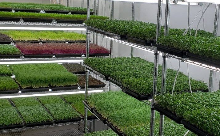 Bio-Anbau
