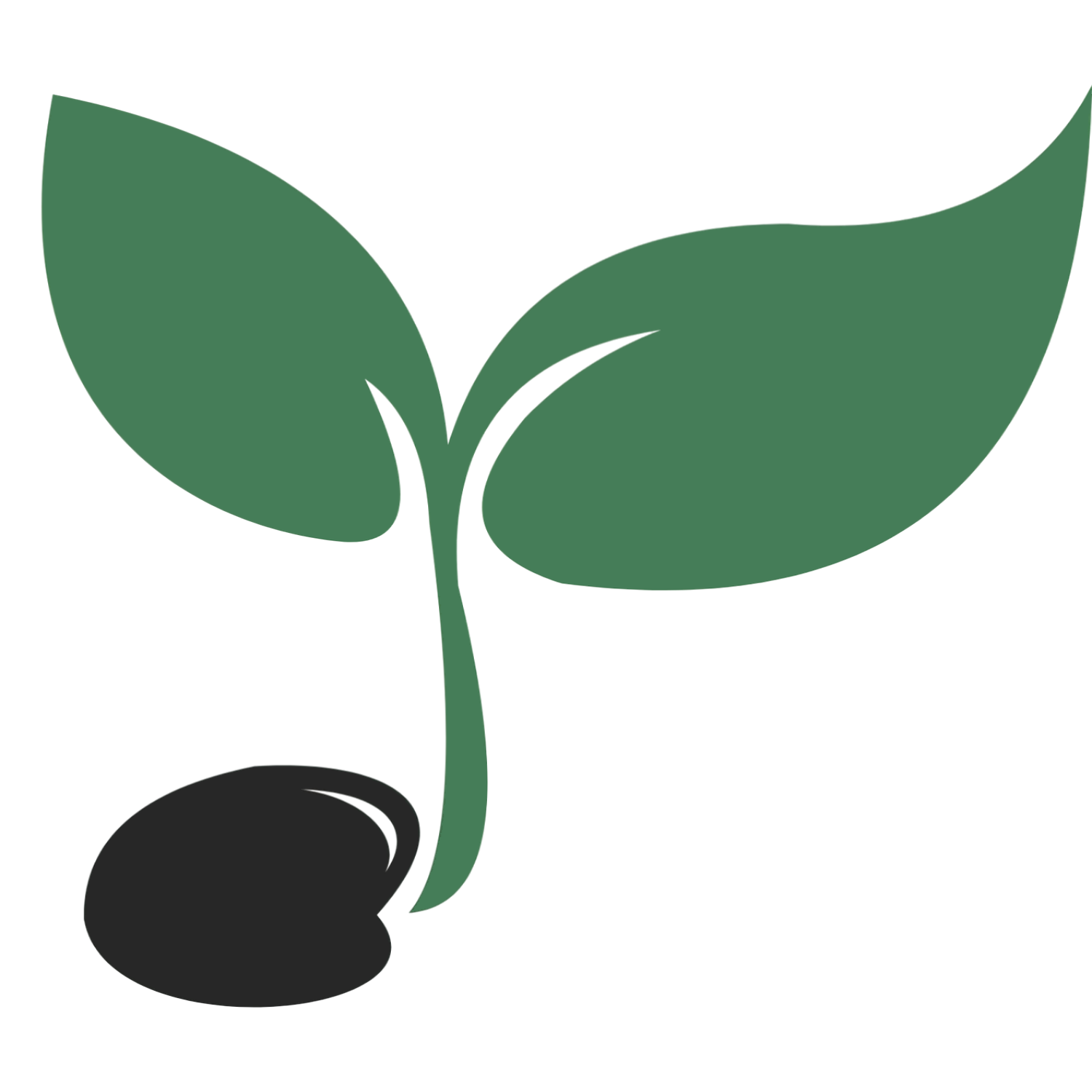 Tiroler Grün Logo